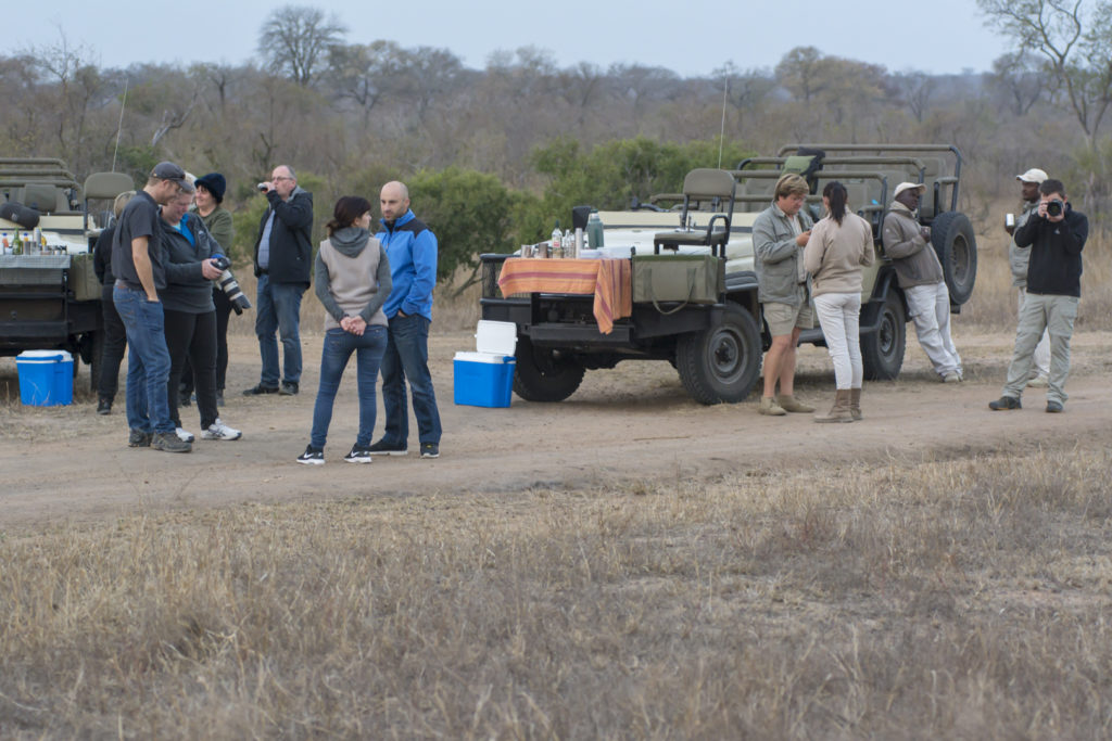 South African Safari Coffee Stop